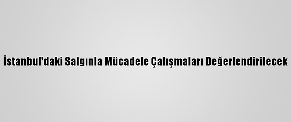 İstanbul'daki Salgınla Mücadele Çalışmaları Değerlendirilecek