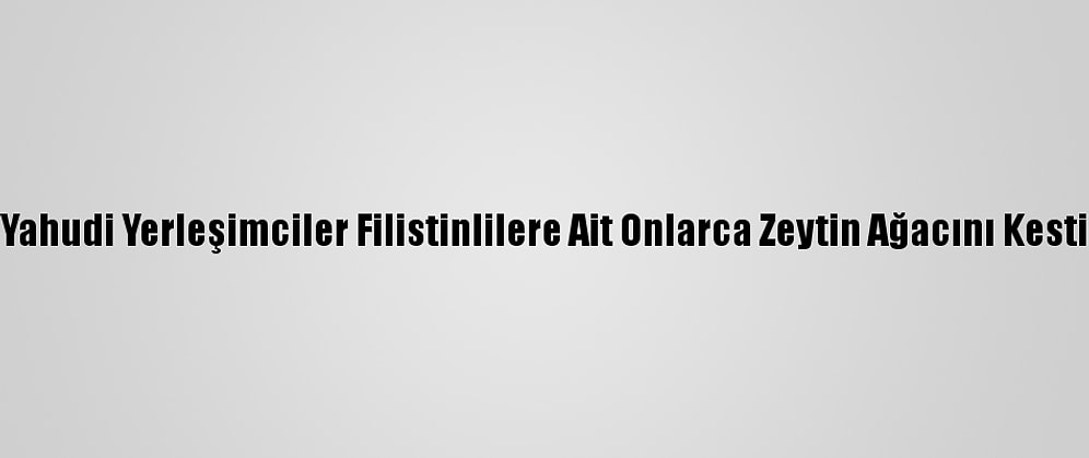 Yahudi Yerleşimciler Filistinlilere Ait Onlarca Zeytin Ağacını Kesti