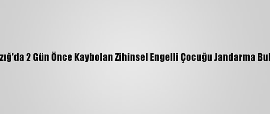 Elazığ'da 2 Gün Önce Kaybolan Zihinsel Engelli Çocuğu Jandarma Buldu