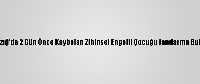 Elazığ'da 2 Gün Önce Kaybolan Zihinsel Engelli Çocuğu Jandarma Buldu