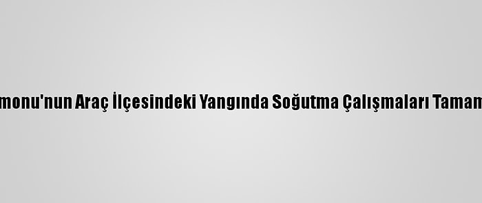 Kastamonu'nun Araç İlçesindeki Yangında Soğutma Çalışmaları Tamamlandı