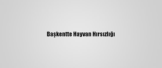 Başkentte Hayvan Hırsızlığı