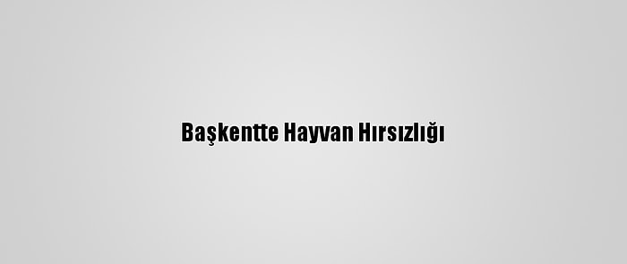 Başkentte Hayvan Hırsızlığı