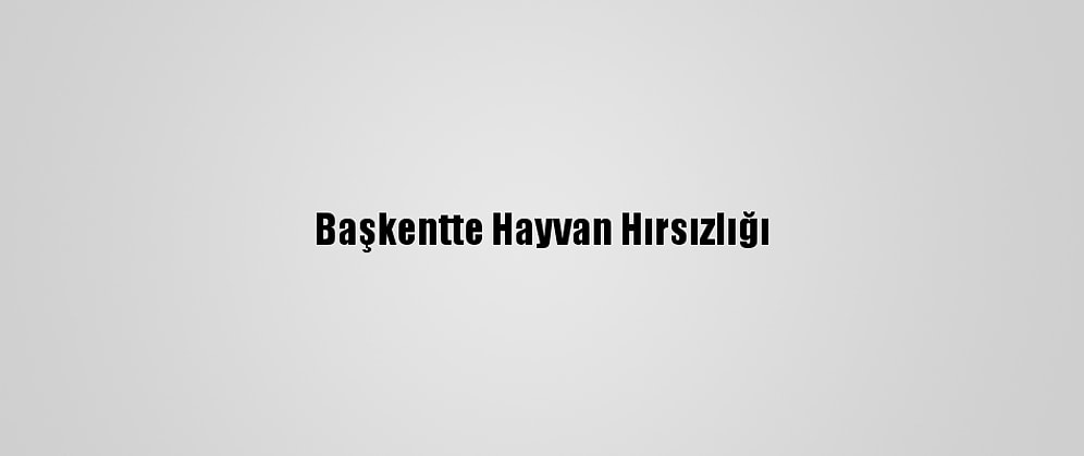 Başkentte Hayvan Hırsızlığı
