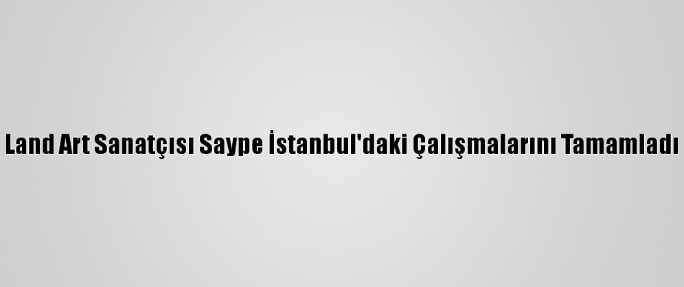 Land Art Sanatçısı Saype İstanbul'daki Çalışmalarını Tamamladı