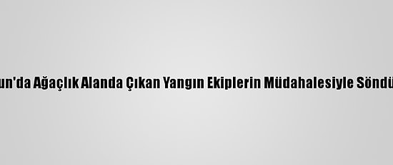 Samsun'da Ağaçlık Alanda Çıkan Yangın Ekiplerin Müdahalesiyle Söndürüldü