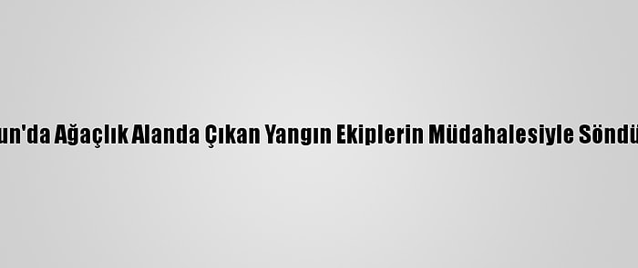 Samsun'da Ağaçlık Alanda Çıkan Yangın Ekiplerin Müdahalesiyle Söndürüldü