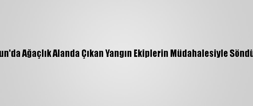 Samsun'da Ağaçlık Alanda Çıkan Yangın Ekiplerin Müdahalesiyle Söndürüldü