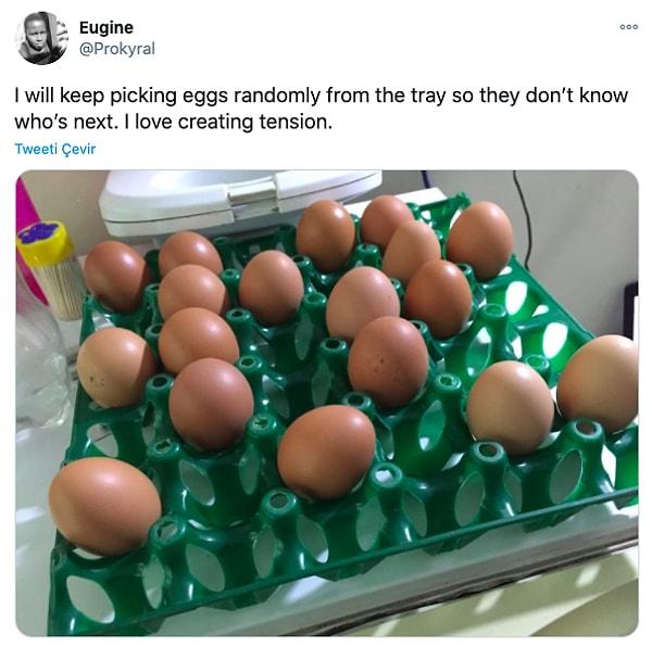 7. "Yumurtaları karışık bir şekilde seçiyorum ki sıradakinin kim olacağını bilemesinler. Gerilim yaratmaya bayılıyorum."