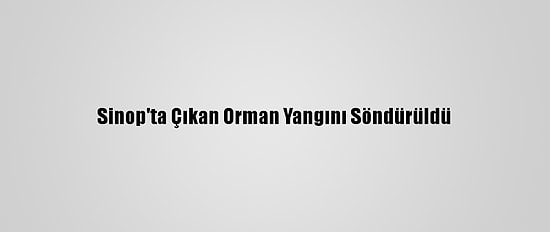 Sinop'ta Çıkan Orman Yangını Söndürüldü