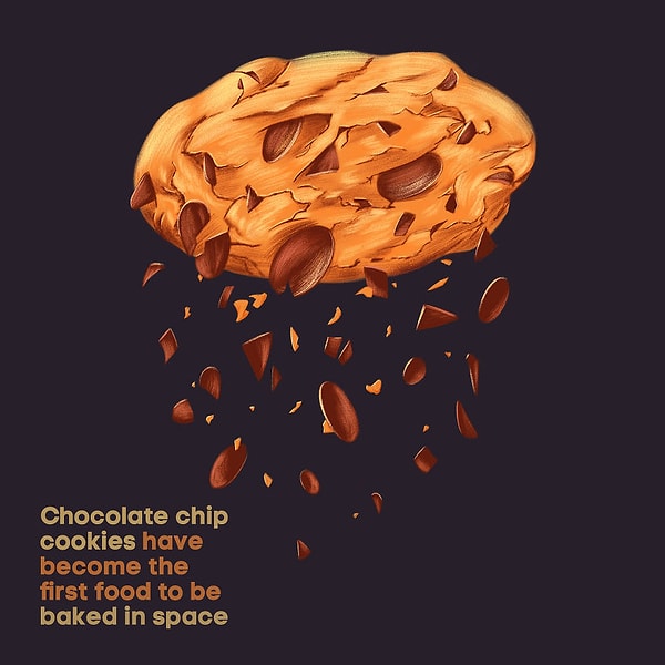20. «Шоколадное печенье было первой пищей, приготовленной в космосе».