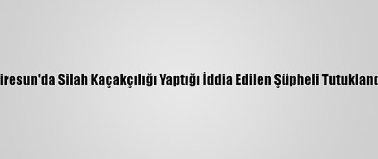 Giresun'da Silah Kaçakçılığı Yaptığı İddia Edilen Şüpheli Tutuklandı