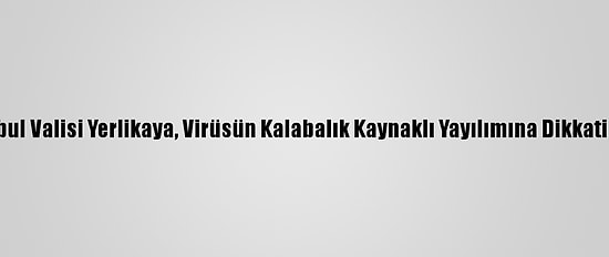 İstanbul Valisi Yerlikaya, Virüsün Kalabalık Kaynaklı Yayılımına Dikkati Çekti
