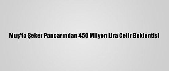Muş'ta Şeker Pancarından 450 Milyon Lira Gelir Beklentisi