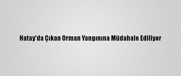 Hatay'da Çıkan Orman Yangınına Müdahale Ediliyor