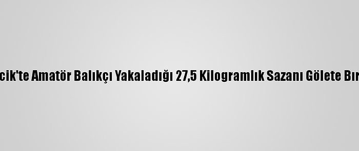 Bilecik'te Amatör Balıkçı Yakaladığı 27,5 Kilogramlık Sazanı Gölete Bıraktı