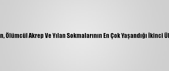İran, Ölümcül Akrep Ve Yılan Sokmalarının En Çok Yaşandığı İkinci Ülke