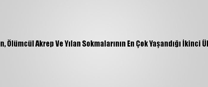İran, Ölümcül Akrep Ve Yılan Sokmalarının En Çok Yaşandığı İkinci Ülke