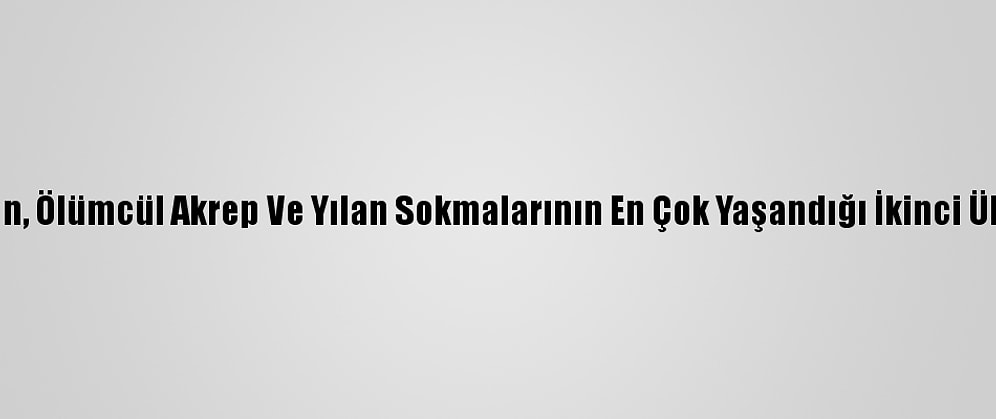 İran, Ölümcül Akrep Ve Yılan Sokmalarının En Çok Yaşandığı İkinci Ülke