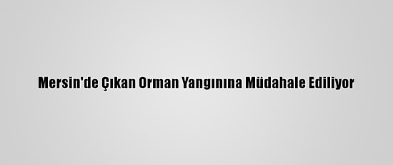 Mersin'de Çıkan Orman Yangınına Müdahale Ediliyor