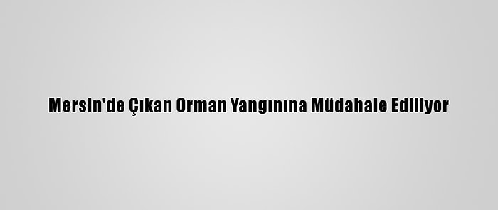 Mersin'de Çıkan Orman Yangınına Müdahale Ediliyor