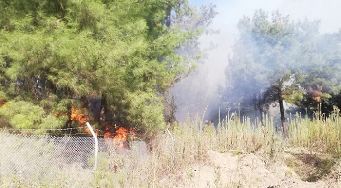 Hatay'ın İskenderun İlçesinde Orman Yangını Çıktı