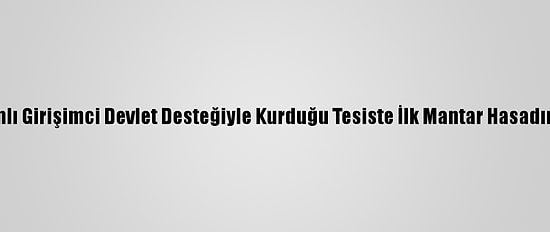 Batmanlı Girişimci Devlet Desteğiyle Kurduğu Tesiste İlk Mantar Hasadını Yaptı
