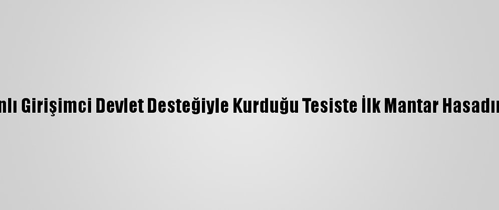 Batmanlı Girişimci Devlet Desteğiyle Kurduğu Tesiste İlk Mantar Hasadını Yaptı
