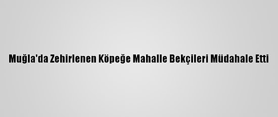 Muğla'da Zehirlenen Köpeğe Mahalle Bekçileri Müdahale Etti