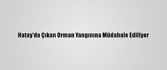 Hatay'da Çıkan Orman Yangınına Müdahale Ediliyor