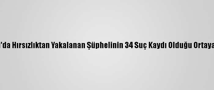 Elazığ'da Hırsızlıktan Yakalanan Şüphelinin 34 Suç Kaydı Olduğu Ortaya Çıktı