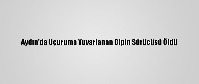 Aydın'da Uçuruma Yuvarlanan Cipin Sürücüsü Öldü
