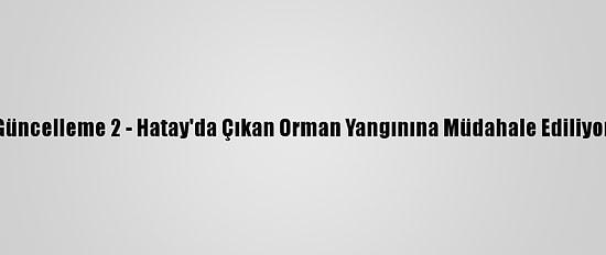 Güncelleme 2 - Hatay'da Çıkan Orman Yangınına Müdahale Ediliyor