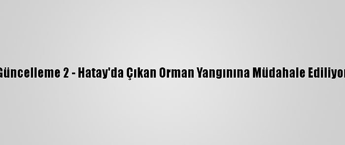 Güncelleme 2 - Hatay'da Çıkan Orman Yangınına Müdahale Ediliyor