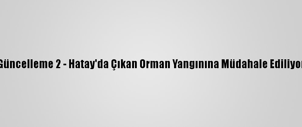 Güncelleme 2 - Hatay'da Çıkan Orman Yangınına Müdahale Ediliyor