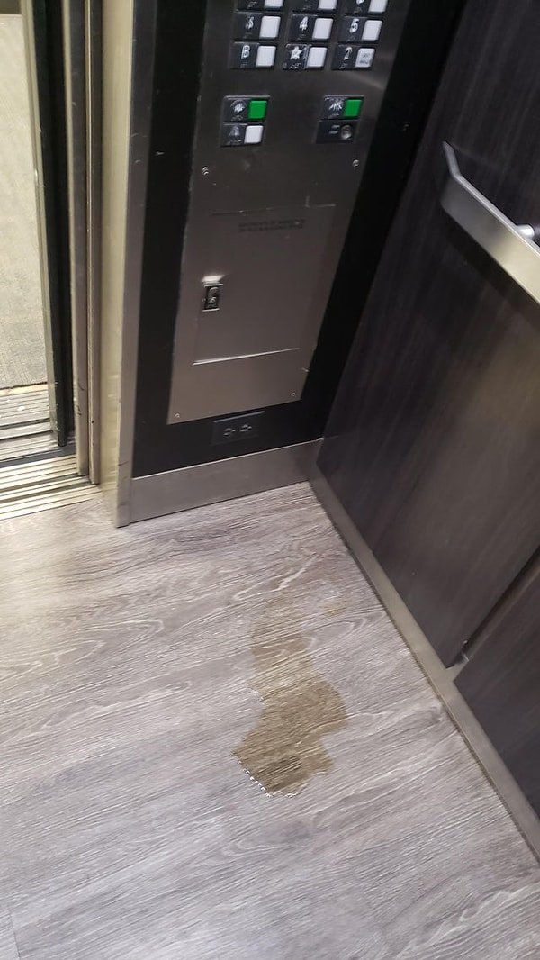 14. «Кто-то помочился на лифт в третий раз за 2 недели».