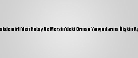 Bakan Pakdemirli'den Hatay Ve Mersin'deki Orman Yangınlarına İlişkin Açıklama: