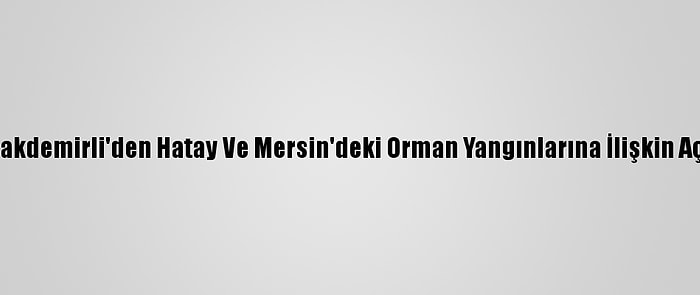 Bakan Pakdemirli'den Hatay Ve Mersin'deki Orman Yangınlarına İlişkin Açıklama: