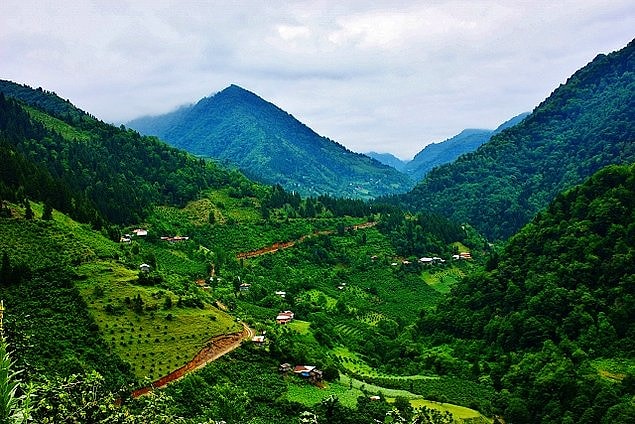 8. Artvin