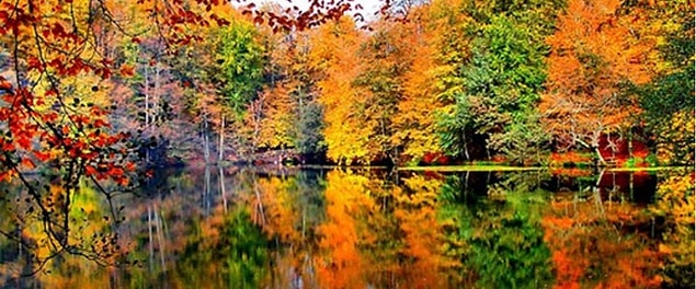 14. Bolu