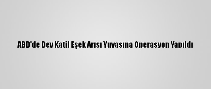 ABD'de Dev Katil Eşek Arısı Yuvasına Operasyon Yapıldı