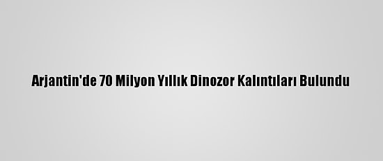 Arjantin'de 70 Milyon Yıllık Dinozor Kalıntıları Bulundu