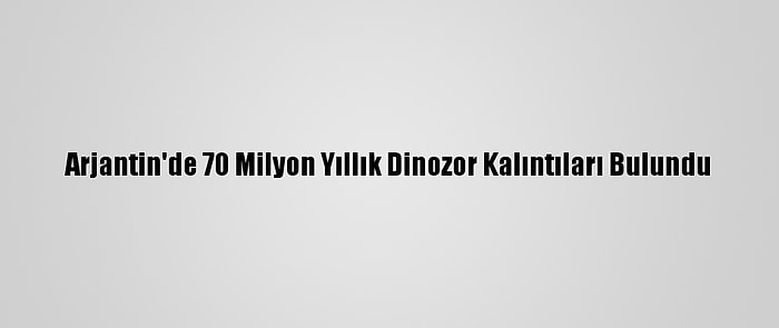 Arjantin'de 70 Milyon Yıllık Dinozor Kalıntıları Bulundu