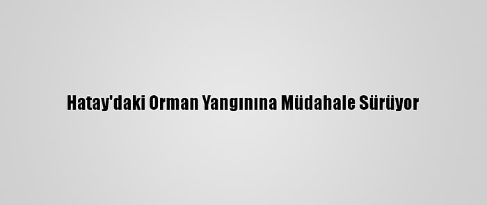 Hatay'daki Orman Yangınına Müdahale Sürüyor