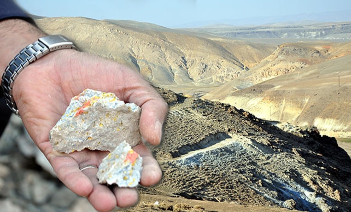 Ağrı'nın Mollakara Köyünde 'Altın' Sevinci