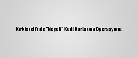 Kırklareli'nde "Neşeli" Kedi Kurtarma Operasyonu