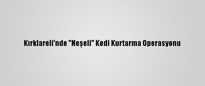 Kırklareli'nde "Neşeli" Kedi Kurtarma Operasyonu