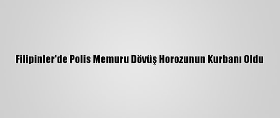 Filipinler'de Polis Memuru Dövüş Horozunun Kurbanı Oldu