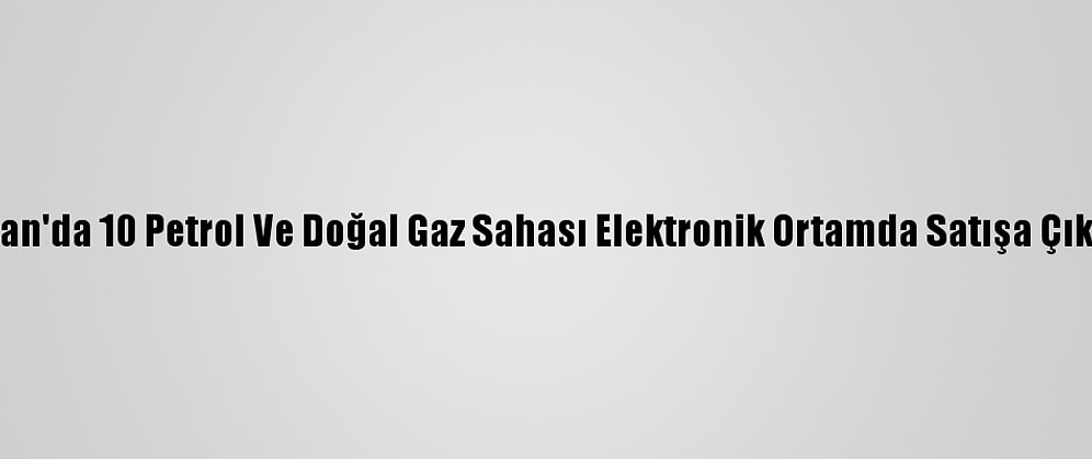 Kazakistan'da 10 Petrol Ve Doğal Gaz Sahası Elektronik Ortamda Satışa Çıkarılacak