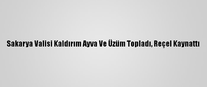 Sakarya Valisi Kaldırım Ayva Ve Üzüm Topladı, Reçel Kaynattı